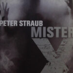 Mister x Peter Straub